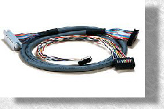 DB Harness